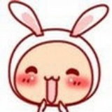 Lup