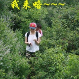 我要宅