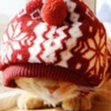 Yunjun