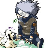 ffyww99