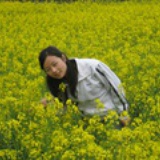 xiexie