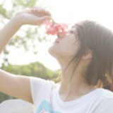 雏菊。