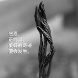 哼哼＿唧唧！