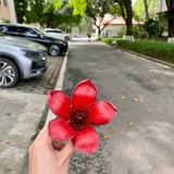 别别