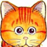 猫腻卡