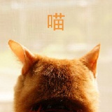 猫侍辉