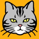 屋顶上散步的猫