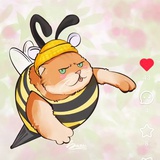 小白。