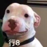 我是小机灵