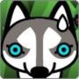 liyi_412