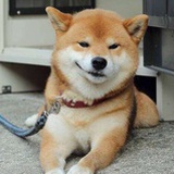 豆友40486468