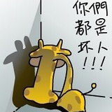 双儿