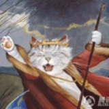 猫虎