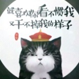 小7南