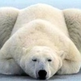 Seagreen