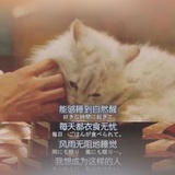 光光光
