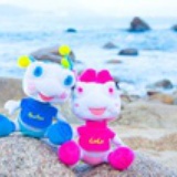 hifly