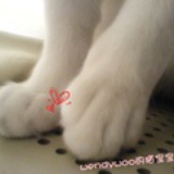 wendywoo