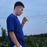 大路