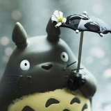 小飞