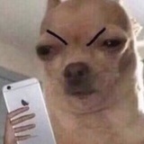 十号风球