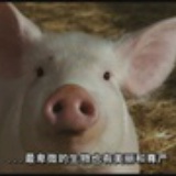 红糖