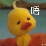 一只素鸭