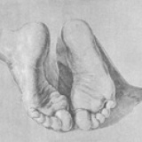 公子小高