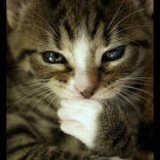 jack