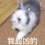 李四