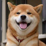 不勒个二