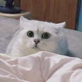 沅安