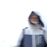 驴將