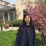 忒懒朵