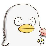 飞飞君想休假了