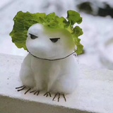 奋起直追的猪