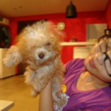 miffy2009