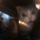 （涙）