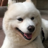 晴天阴霾
