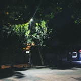 梨。