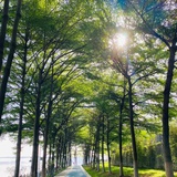 跃过山丘