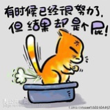 来了