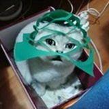 陸柒