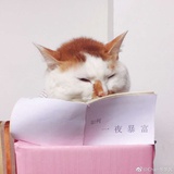 小小虫