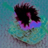kuni