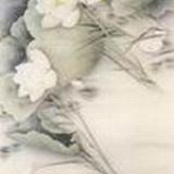 兰若灵