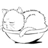 云上猫