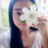 沈十一