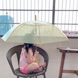 豆是故乡圆