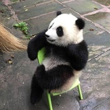 王可爱